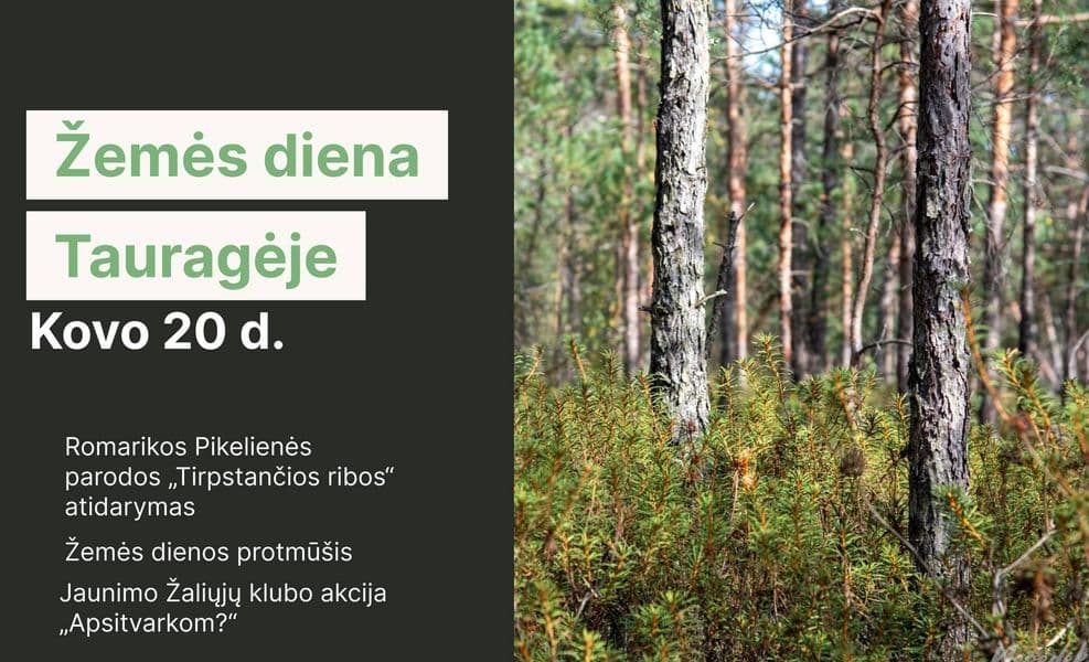Image Alt Text