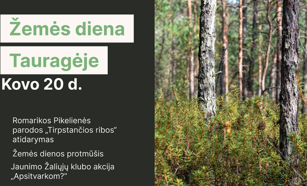Image Alt Text