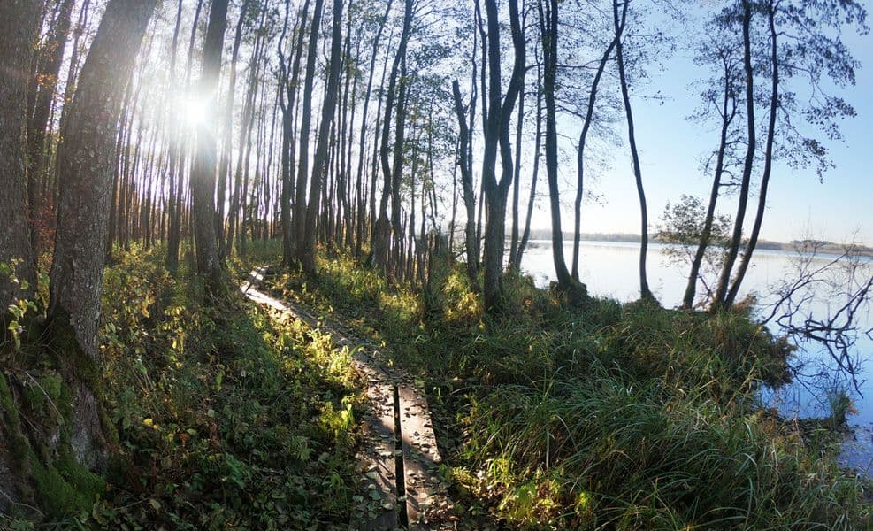 Paršežerio pėsčiųjų pažintinis takas